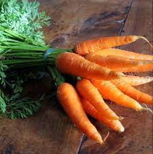 carottes botte